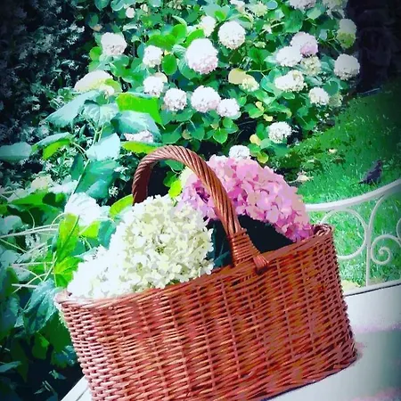 Sant'andrea 호텔 산타마르게리타리구레