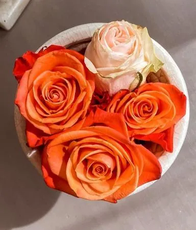 Sant'andrea Santa Margherita Ligure