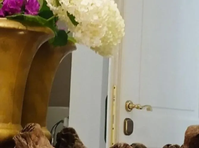 Sant'andrea Santa Margherita Ligure